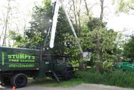 For tree trimming or removal, we have the equipment to get to high places.